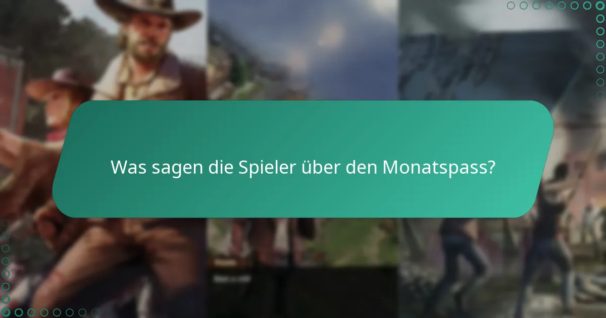 Was kostet der Monatspass und welchen Wert hat er?